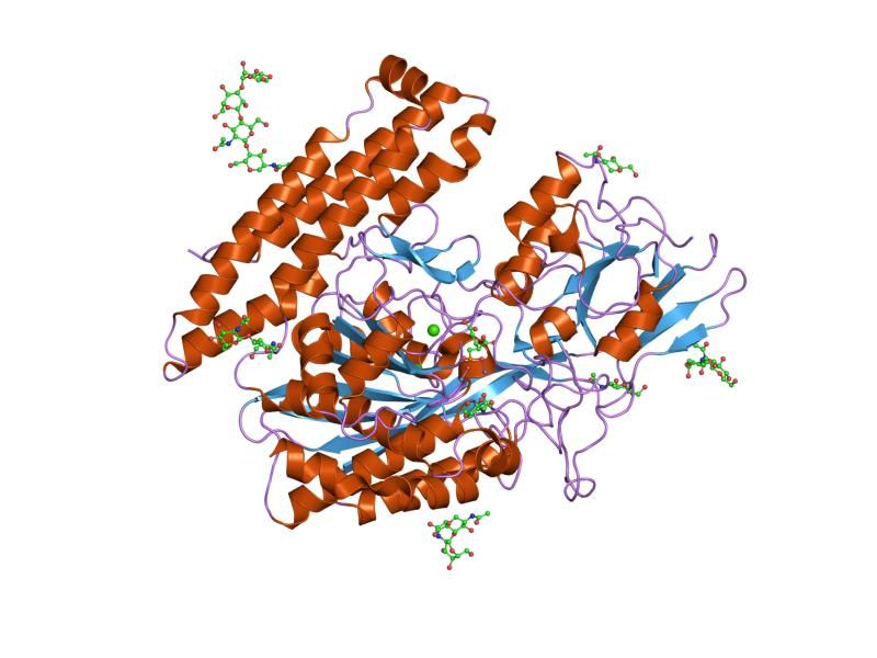 File:PDB 2jbj EBI.jpg