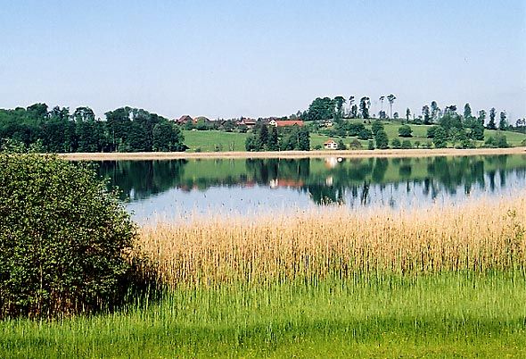 File:Pfäffikersee.jpg