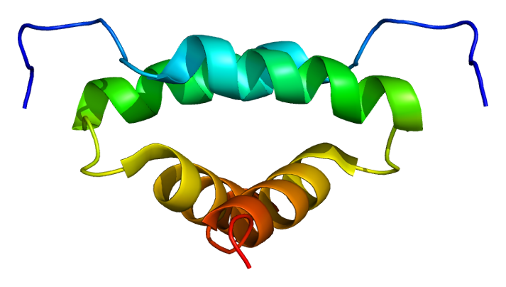 File:Protein PRKAR2A PDB 1l6e.png