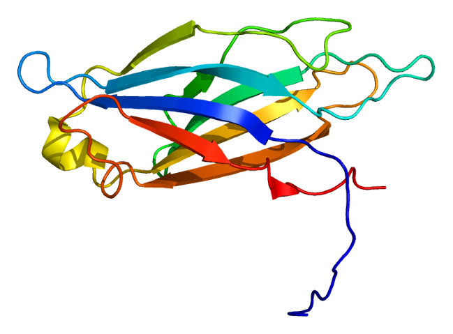 File:Protein SYT7 PDB 2d8k.png