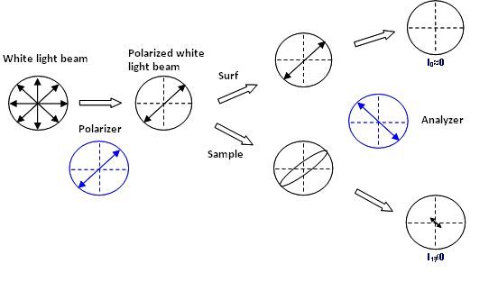 File:Sarfus PolarisationState.jpg