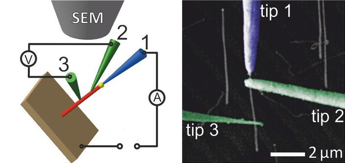 File:4pp-nanowires.png