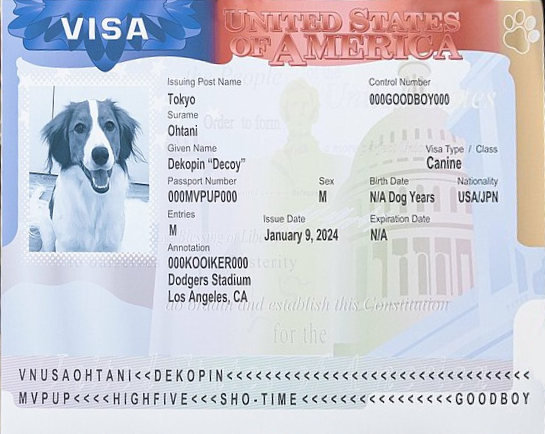 File:Decoy Ohtani visa document.png