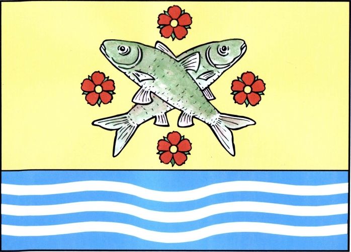 File:Dobrá Voda ZR flag.jpg