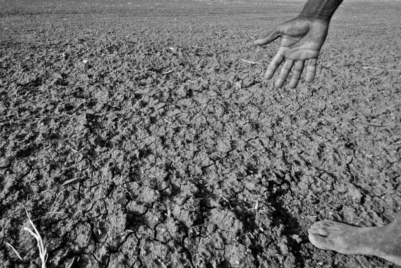 File:Drought affected area in Karnataka, India, 2012.jpg