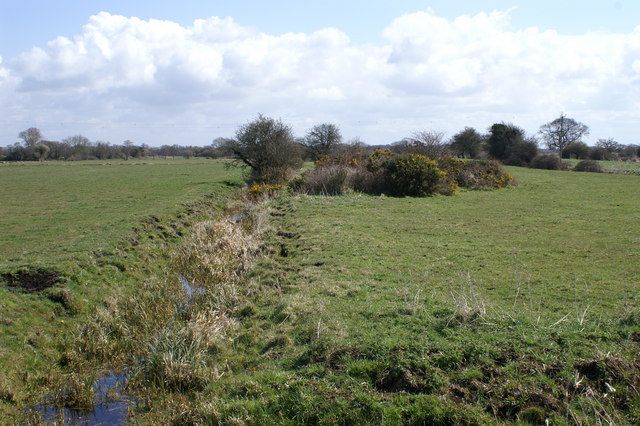 File:Edington Heath.jpg