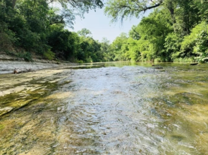 File:Forested stream with clear water.png