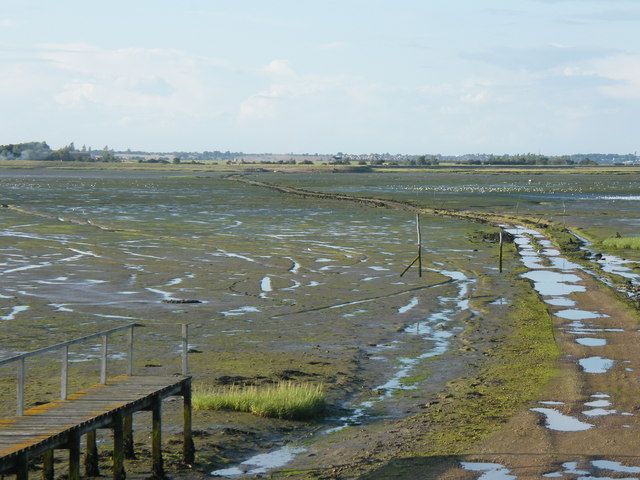 File:Island Lane - geograph.org.uk - 1142269.jpg