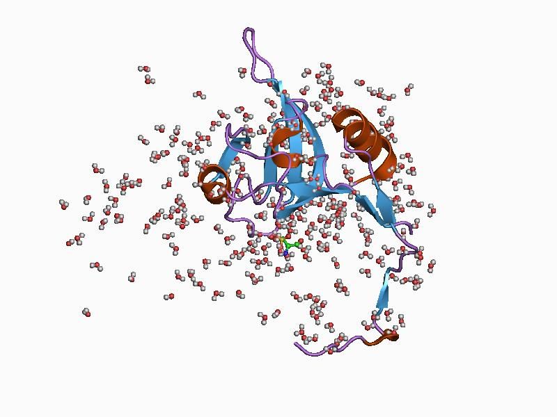 File:PDB 1cs8 EBI.jpg