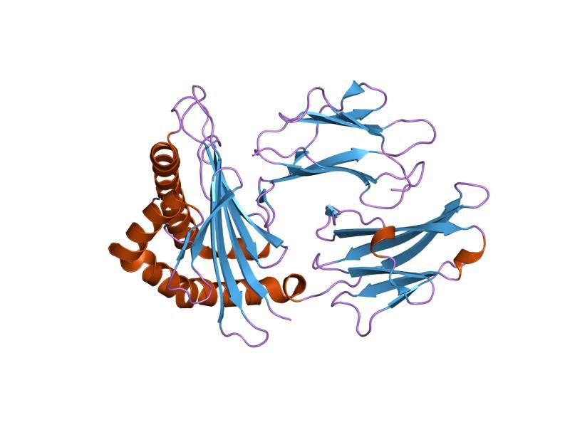 File:PDB 1e28 EBI.jpg