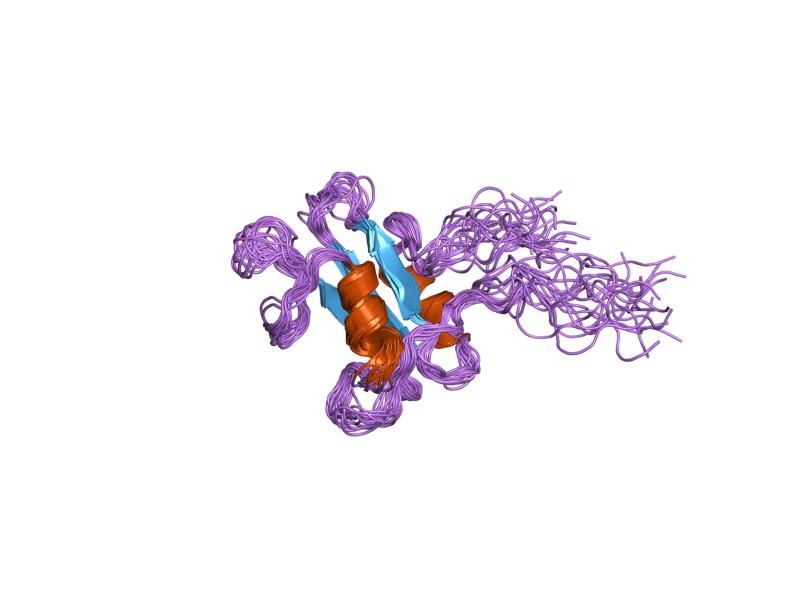 File:PDB 1fhs EBI.jpg