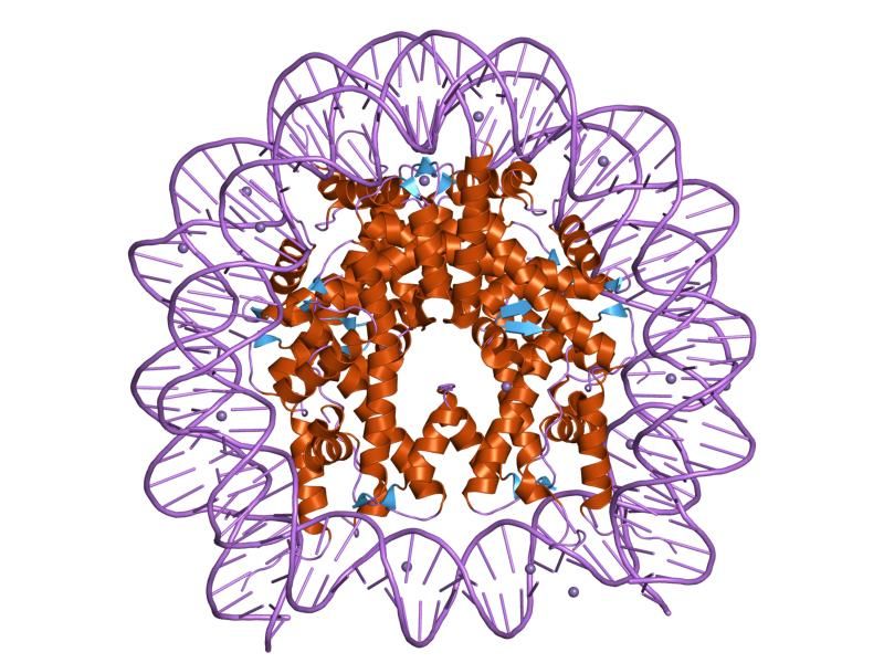 File:PDB 1id3 EBI.jpg