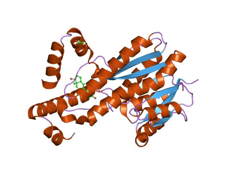 File:PDB 1jtv EBI.jpg