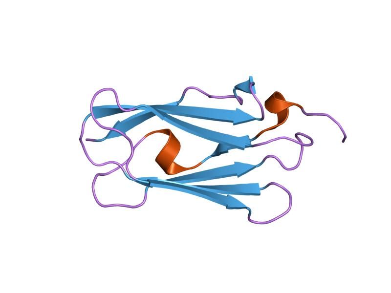 File:PDB 1v05 EBI.jpg