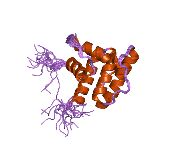 File:PDB 1wyr EBI.png