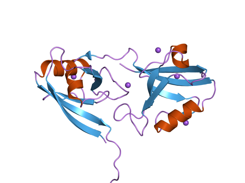 File:PDB 2i1n EBI.png