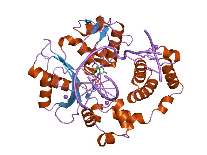 File:PDB 2pfn EBI.jpg