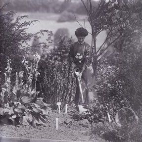 File:Vida Goldstein planting in 1911.jpg