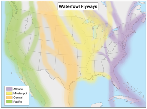 File:Waterfowlflywaysmap.png