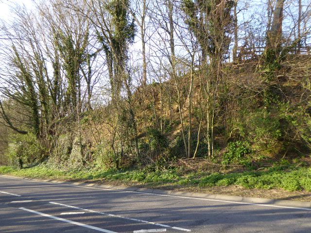 File:Winchelsea Cutting (1).jpg