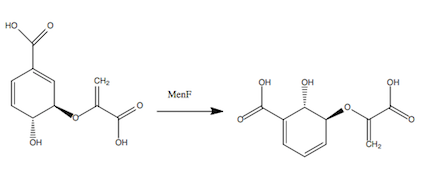 File:Isochorismate Synthase Rxn.png