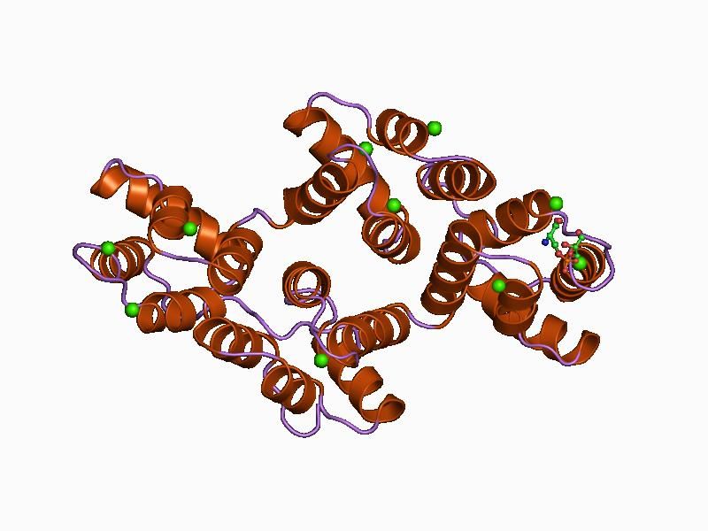 File:PDB 1a8a EBI.jpg