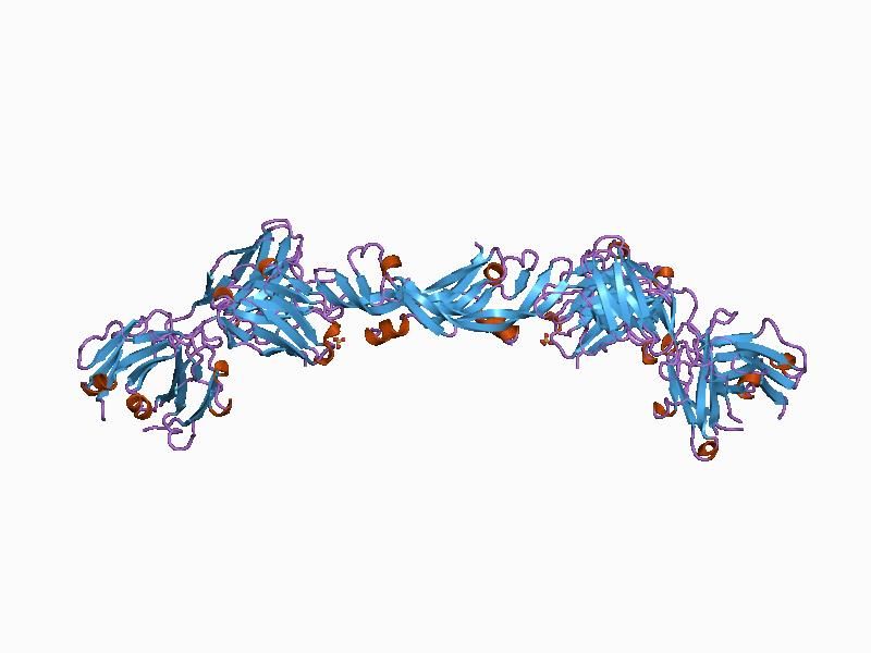 File:PDB 1bj1 EBI.jpg