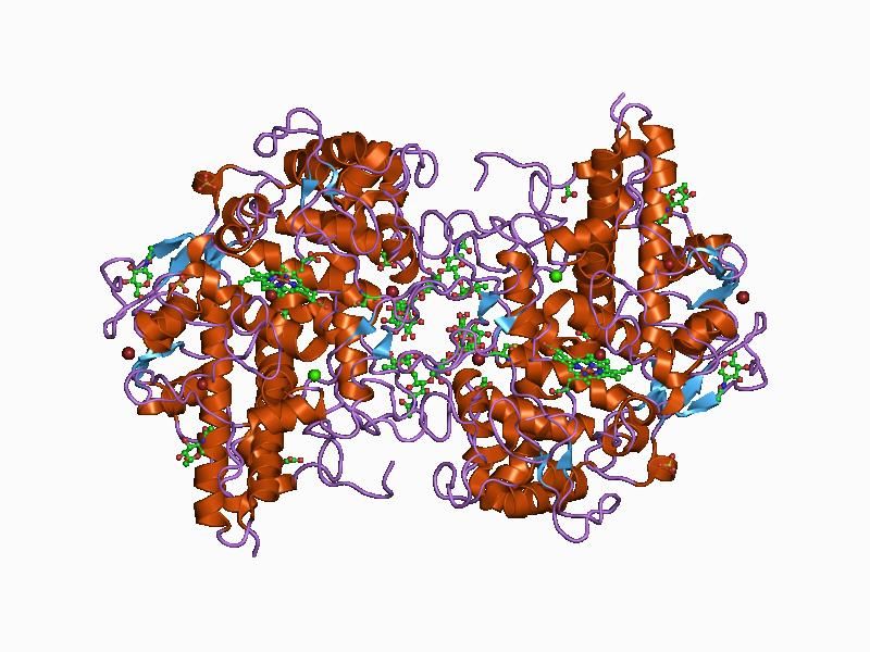 File:PDB 1d2v EBI.jpg