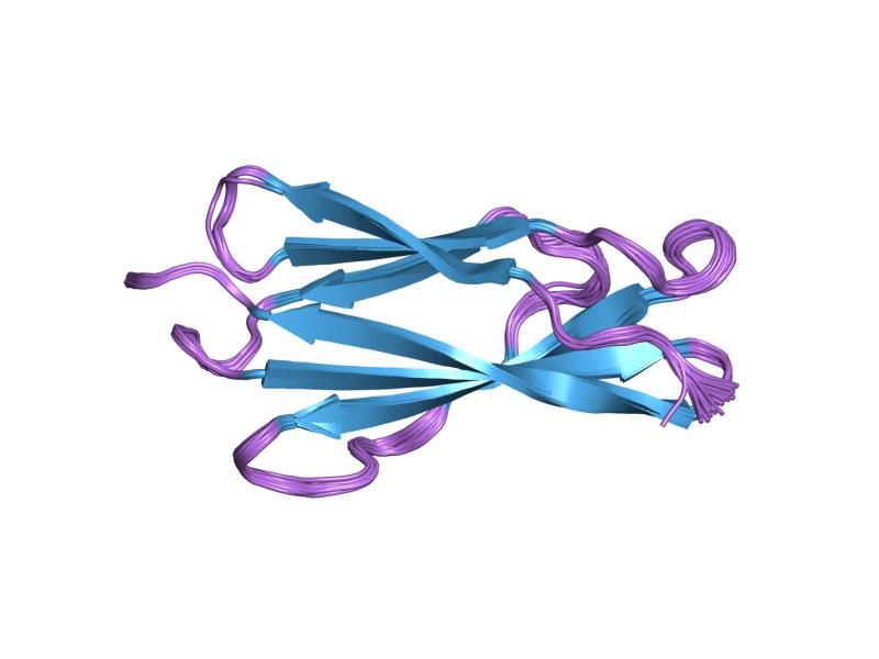 File:PDB 1lwr EBI.jpg