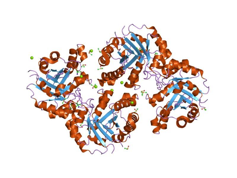 File:PDB 1r2r EBI.jpg