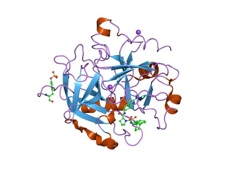 File:PDB 1sb1 EBI.jpg