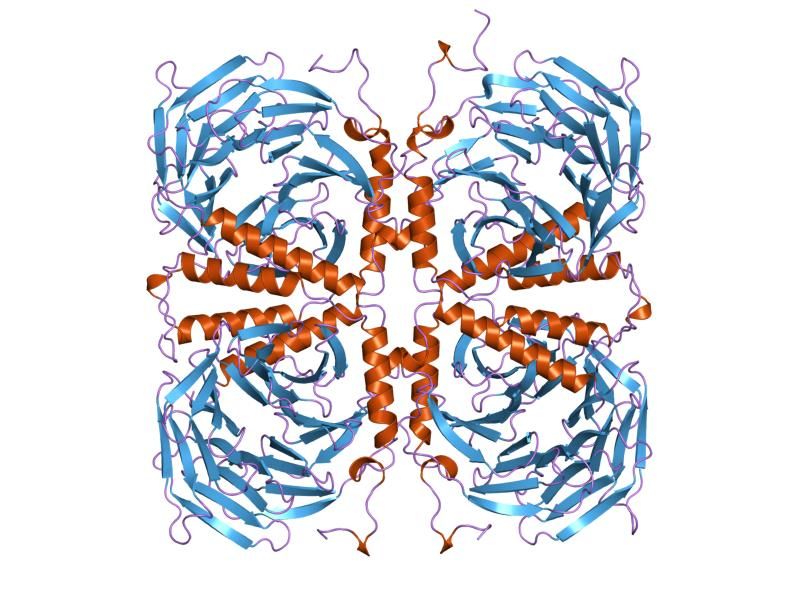 File:PDB 1tbg EBI.jpg