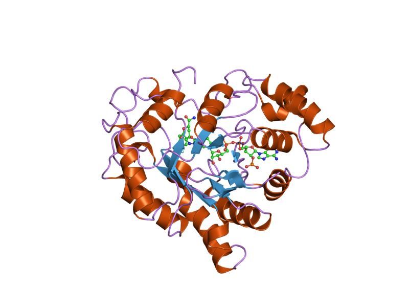 File:PDB 1x97 EBI.jpg