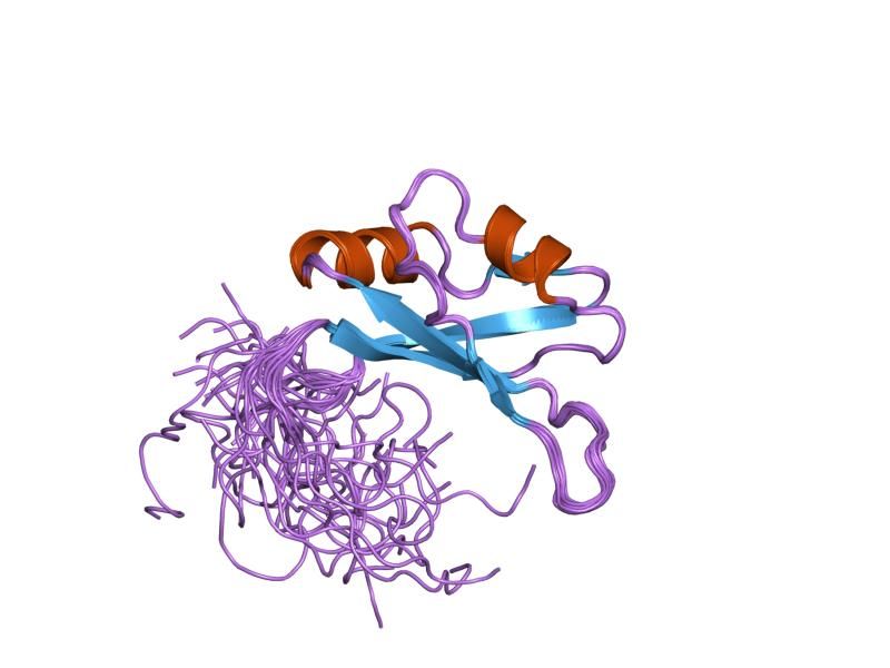 File:PDB 2cqp EBI.jpg