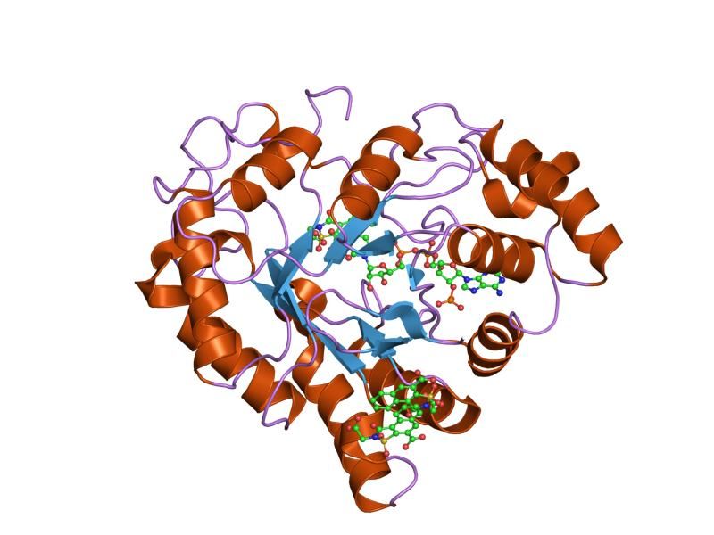 File:PDB 2nvd EBI.jpg