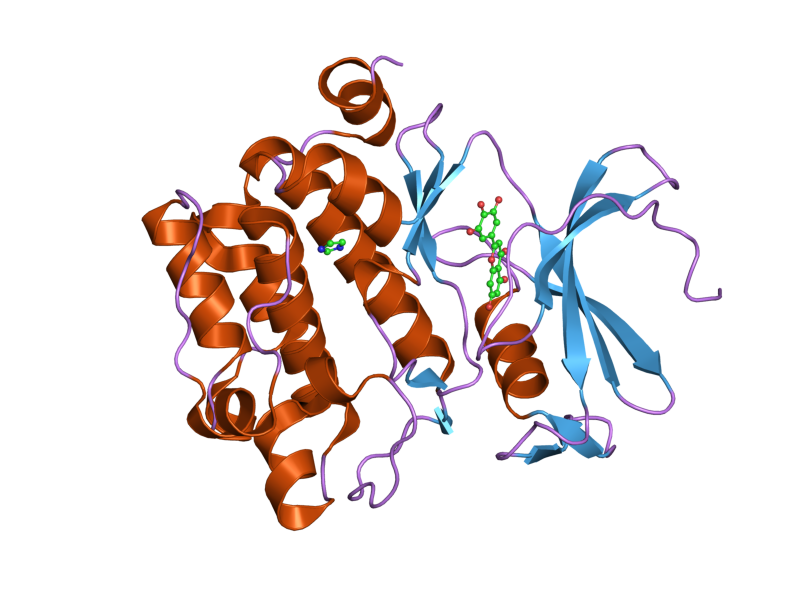 File:PDB 2o65 EBI.png