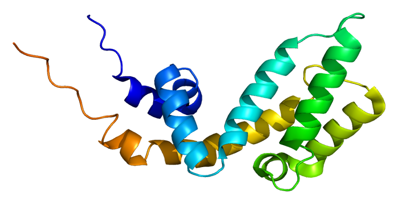 File:Protein AXIN1 PDB 1dk8.png