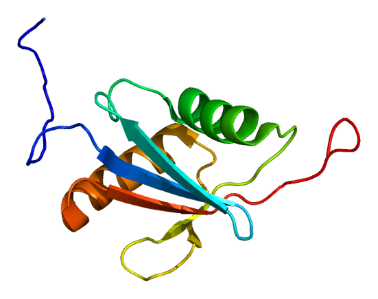 File:Protein NBR1 PDB 1wj6.png