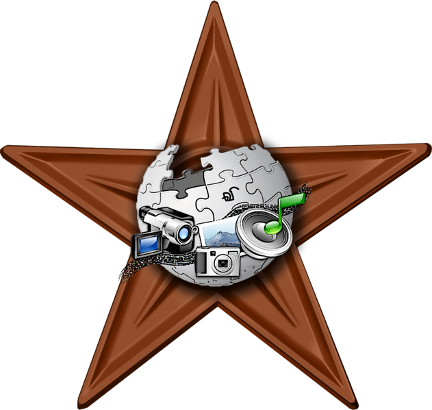 File:TWMC Volunteer barnstar.png