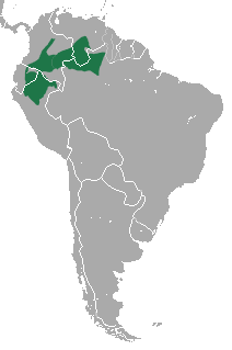 File:White-fronted Spider Monkey area.png