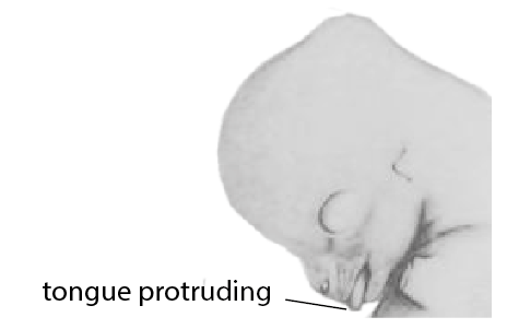 File:AF1. Tongue protruding (T02a).png