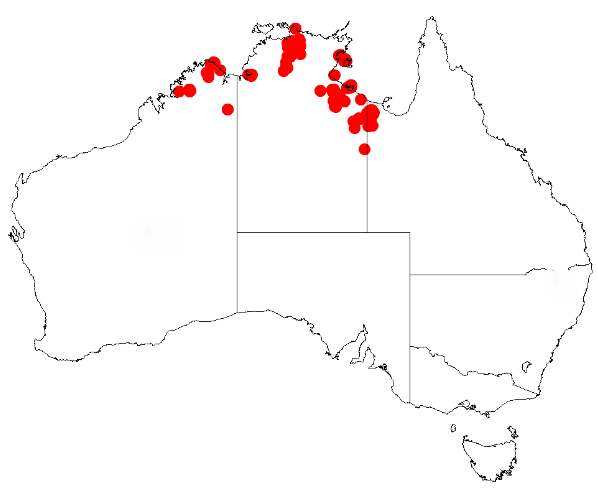 File:Acacia latifoliaDistMap514.png