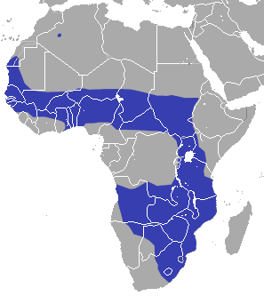 File:African Savanna Hare area.png