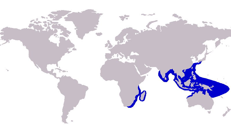 File:Caranx tille distribution.png