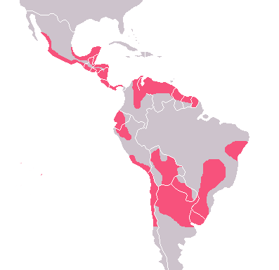 File:Carte maladie Chagas.png