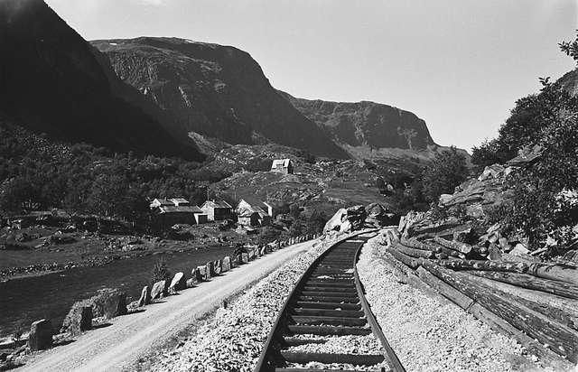 File:Flåm Line at Melhus.jpg