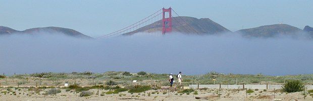 File:GGB Fog Crissy Field.jpg