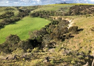 File:Holden Flora Reserve, Sunbury.jpg