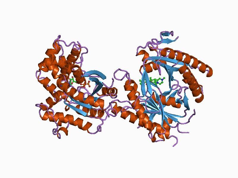 File:PDB 1azs EBI.jpg