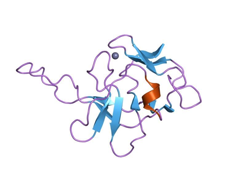 File:PDB 1fwq EBI.jpg